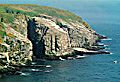 Photo of Cape St. Marys